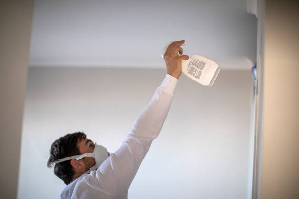Best Mold Removal and Inspection  in Lodi, WI